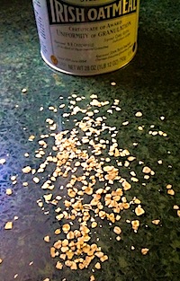 img-oatmeal
